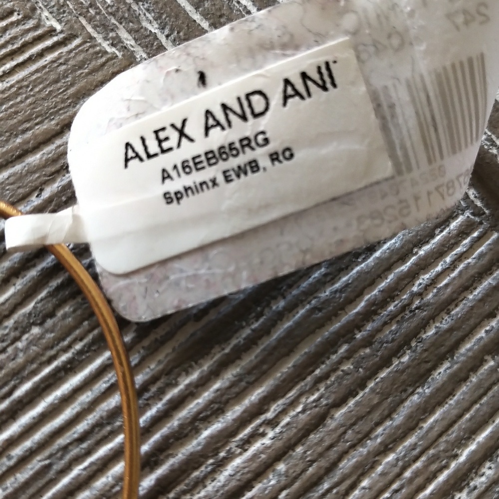 Alex and Ani Sphinx Charm Bracelet - Picture 4 of 7
